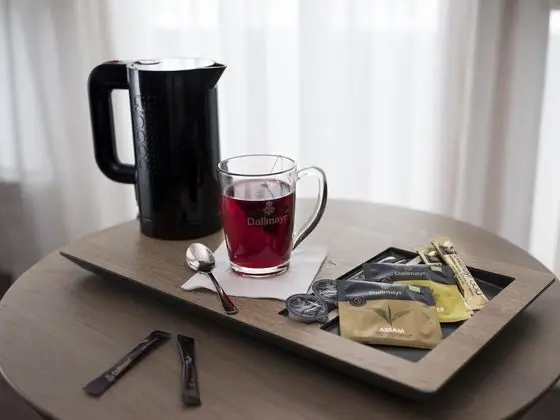 Premium Tek Kişilik Oda, 1 Çift Kişilik Yatak, Sigara İçilmez