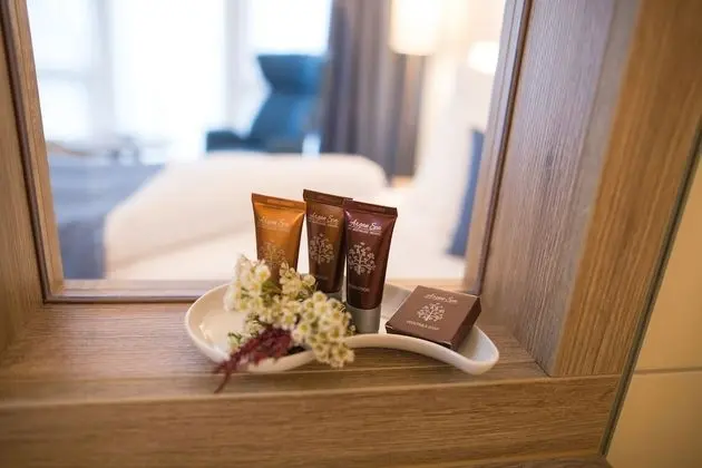 Premium Tek Kişilik Oda, 1 Çift Kişilik Yatak, Sigara İçilmez