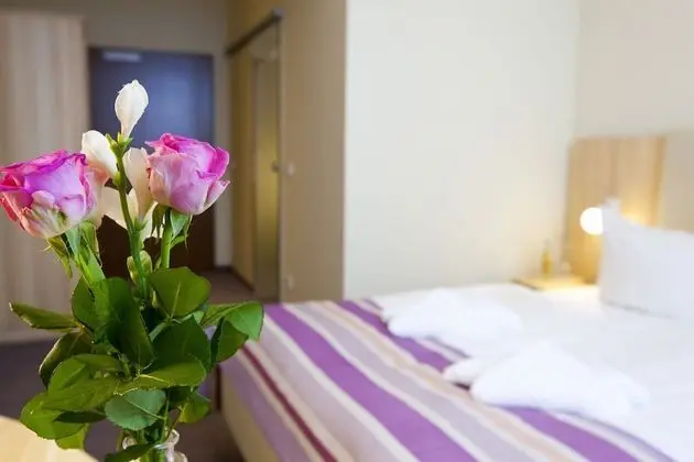 Tek Büyük Yataklı Oda, 1 Büyük (Queen) Boy Yatak, Sigara İçilmez