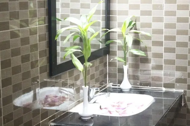 Deluxe Ortak Ranzalı Oda, Karma Ranzalı Oda (1 Bed in 12 beds)