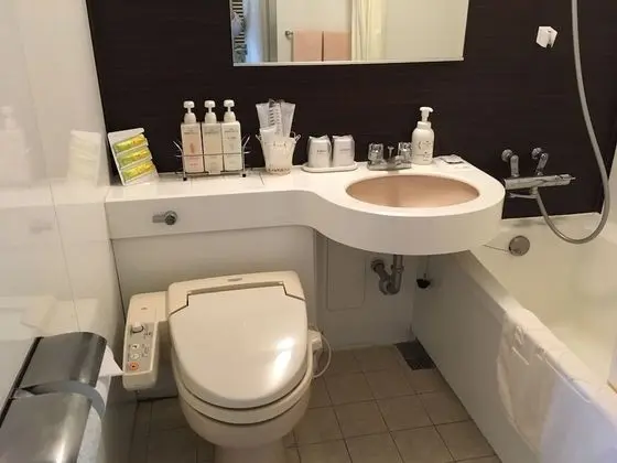 Standard Tek Büyük Yataklı Oda, Sigara İçilebilir