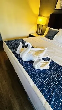 Premium Oda, 1 En Büyük (King) Boy Yatak ve Çekyat, Sigara İçilmez, Buzdolabı ve Mikrodalga