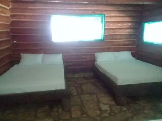 Oda, 1 Yatak Odası, Teras