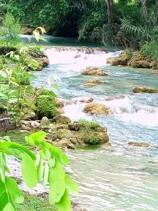 Oda, 1 Yatak Odası, Teras