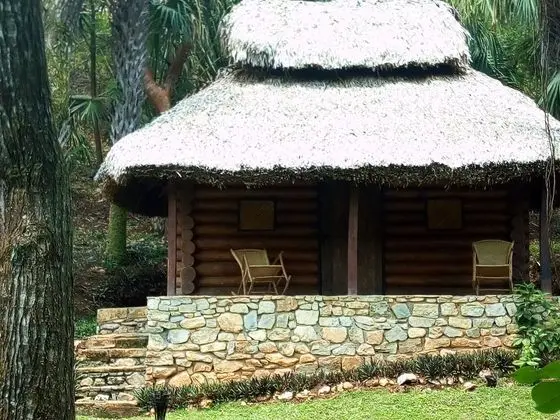Oda, 1 Yatak Odası, Teras