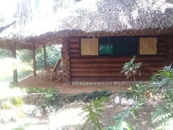 Oda, 1 Yatak Odası, Teras