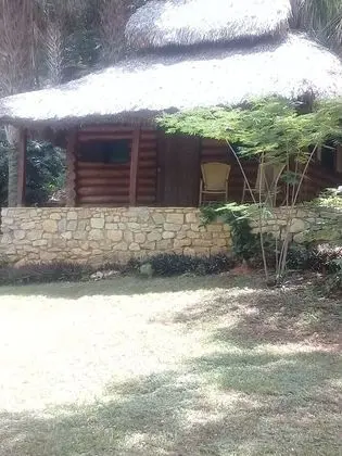 Oda, 1 Yatak Odası, Teras