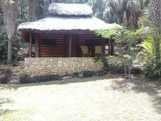 Oda, 1 Yatak Odası, Teras