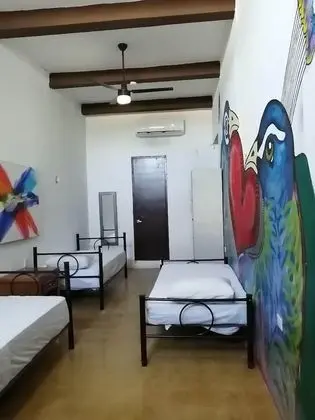 Standard Ortak Ranzalı Oda, Sadece kadınlar için, Özel Banyo