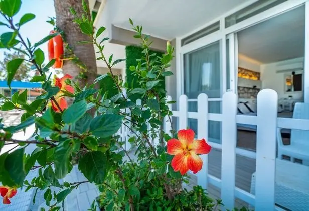 Deluxe Deniz Manzaralı,Teraslı Oda
