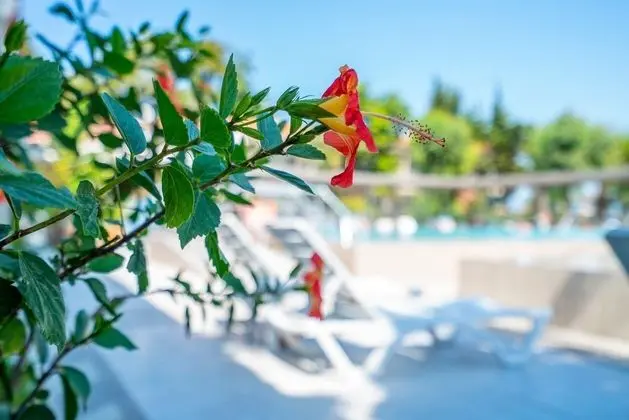 Deluxe Deniz Manzaralı,Teraslı Oda