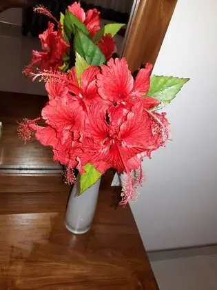 Deluxe Oda, 1 Çift Kişilik Yatak, Sigara İçilmez