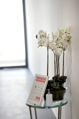 Çatı Katı Süiti (Penthouse)