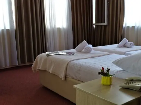 Standard İki Ayrı Yataklı Oda, 1 Yatak Odası, Engellilere Uygun, Şehir Manzaralı
