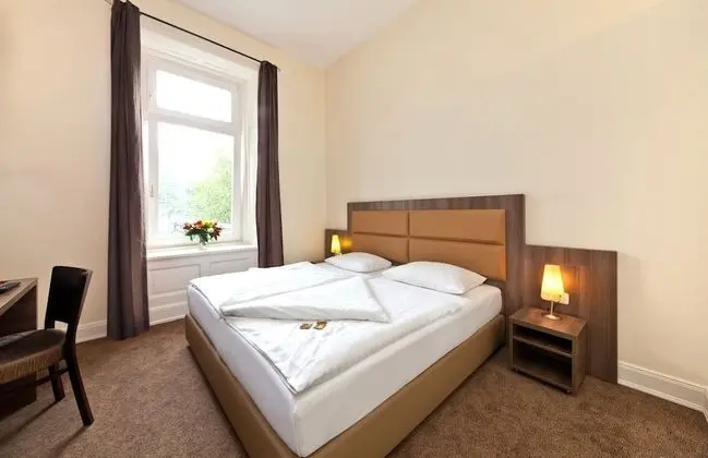 Standard Tek Büyük Yataklı Oda (Single Occupancy)