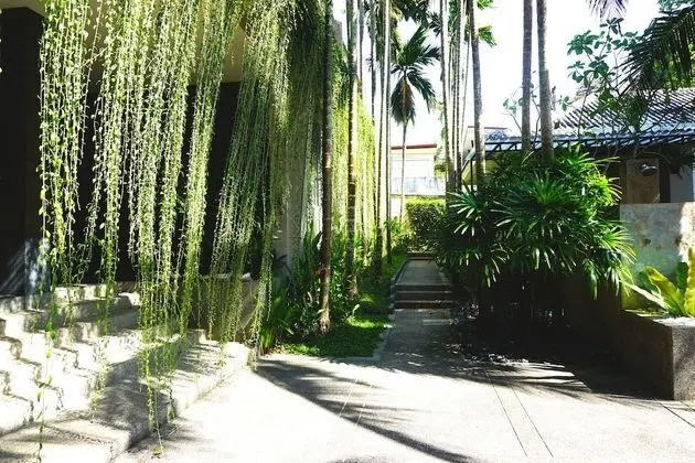 Deluxe King Garden View