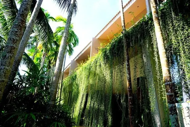Deluxe King Garden View