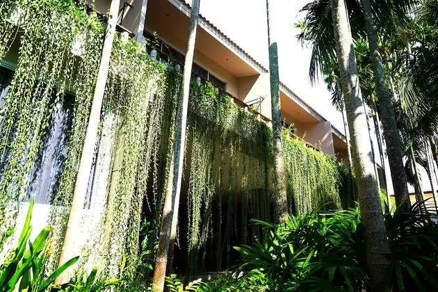 Deluxe King Pool View