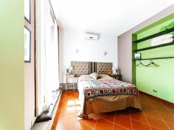 Standard Tek Büyük Yataklı Oda, 1 Yatak Odası, Şehir Manzaralı (Private Bathroom)