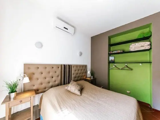 Standard Tek Büyük Yataklı Oda, 1 Yatak Odası, Şehir Manzaralı (Private Bathroom)