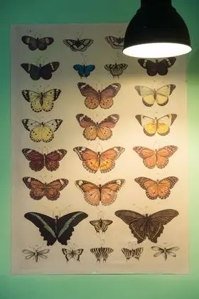 Standard Tek Büyük Yataklı Oda, 1 Yatak Odası, Şehir Manzaralı (Private Bathroom)