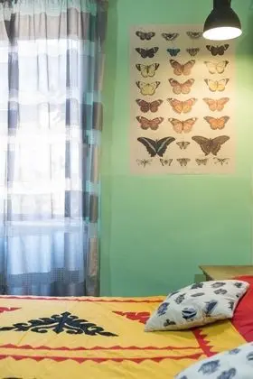 Standard Tek Büyük Yataklı Oda, 1 Yatak Odası, Şehir Manzaralı (Private Bathroom)