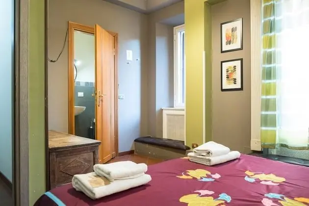 Standard Tek Büyük Yataklı Oda, 1 Yatak Odası, Şehir Manzaralı (Private Bathroom)