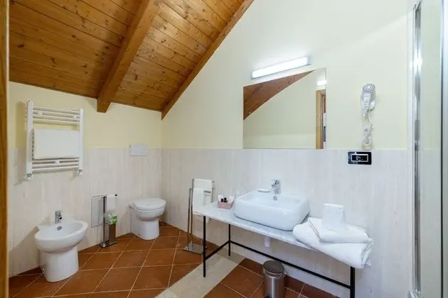 Standard Tek Büyük Yataklı Oda, 1 Çift Kişilik Yatak