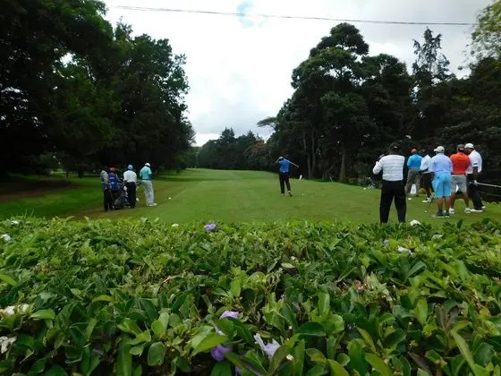Stüdyo Süit, Golf Manzaralı