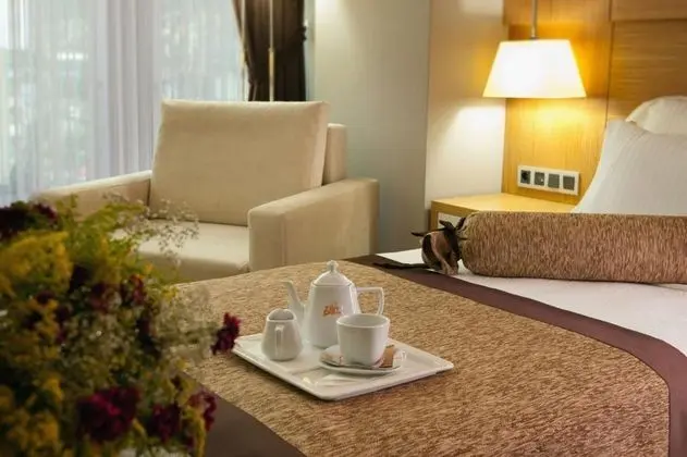 Standart Oda, Şehir Manzaralı