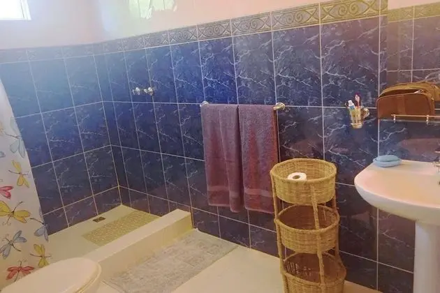 Villa, 4 Yatak Odası, Sigara İçilebilir, Sıcak Su Havuzu
