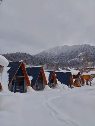 Classic Bungalov, 1 Yatak Odası, Dağ Manzaralı