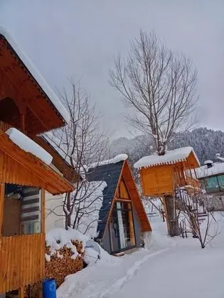Classic Bungalov, 1 Yatak Odası, Dağ Manzaralı