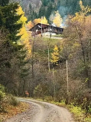 Classic Bungalov, 1 Yatak Odası, Dağ Manzaralı