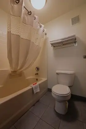 Tek Büyük Yataklı Oda, 2 Büyük (Queen) Boy Yatak, Balkon, Okyanus Manzaralı