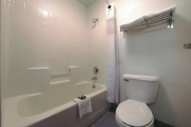 Tek Büyük Yataklı Oda, 2 Büyük (Queen) Boy Yatak, Koy Manzaralı (Pet Friendly)