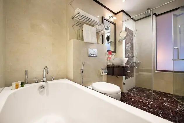 Executive Tek Büyük veya İki Ayrı Yataklı Oda, Şehir Manzaralı (Premium)