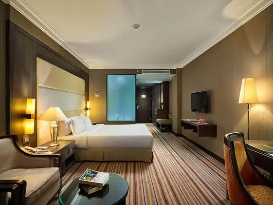 Premium Tek Büyük veya İki Ayrı Yataklı Oda, Şehir Manzaralı (Deluxe)