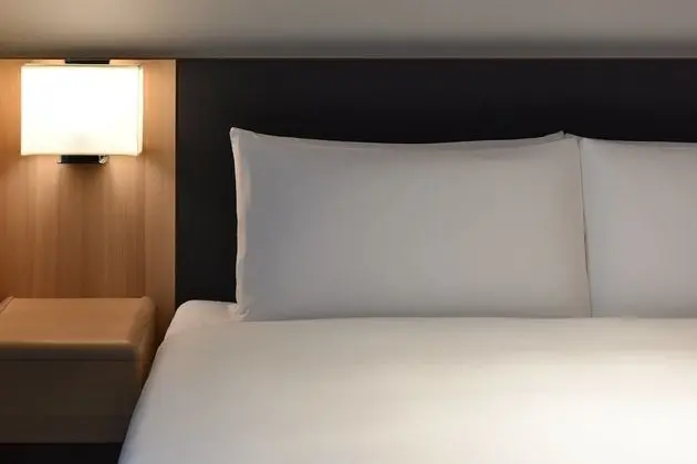 Deluxe Tek Büyük Yataklı Oda (10 years old and above guests only)