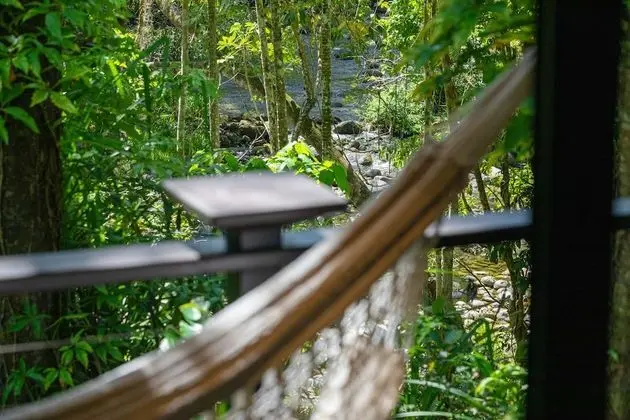 Stüdyo Süit (Rainforest Retreat)