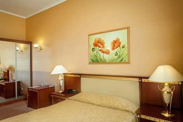 Standard Tek Büyük Yataklı Oda, 1 Çift Kişilik Yatak