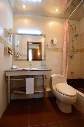 Standard Tek Büyük Yataklı Oda, 1 Çift Kişilik Yatak