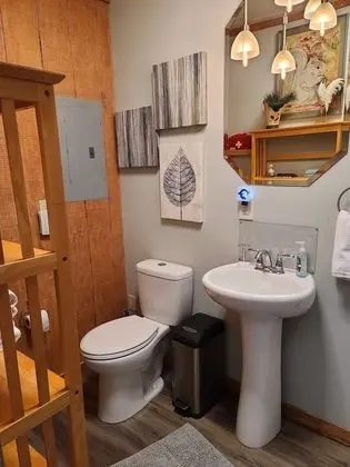 Comfort Kulübe