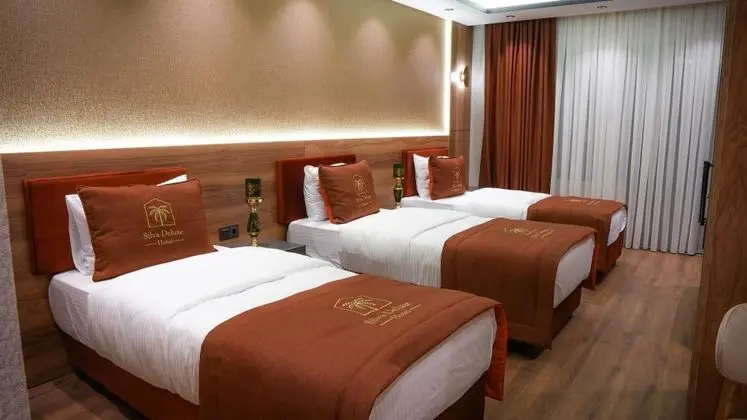Ekonomik Üç Kişilik Oda, Şehir Manzaralı, Balkonlu