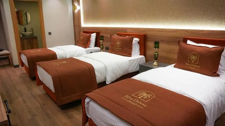 Ekonomik Üç Kişilik Oda, Şehir Manzaralı, Balkonlu