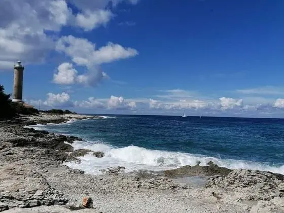 Apart Daire (Silvana - 100 m from beach - A1(4))