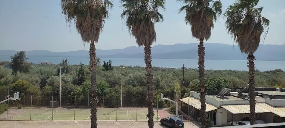 Basic Tek Büyük veya İki Ayrı Yataklı Oda