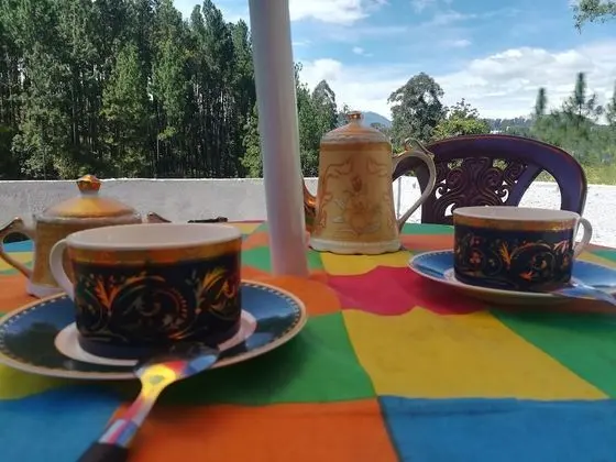 Comfort Tek Kişilik Oda