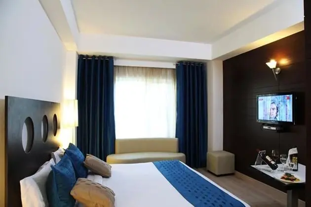 Deluxe Tek Büyük veya İki Ayrı Yataklı Oda, Şehir Manzaralı