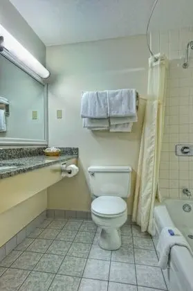 Standard Tek Büyük Yataklı Oda, 2 Çift Kişilik Yatak